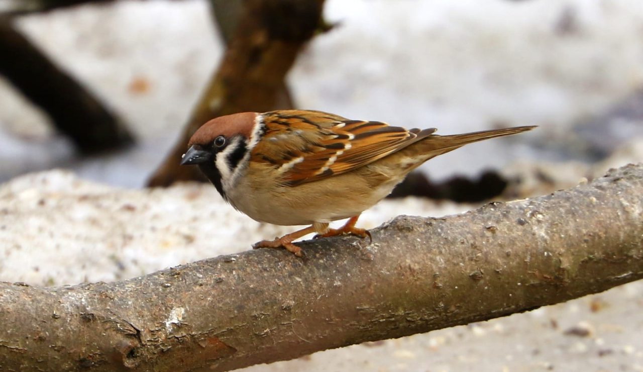 490750459_3911042409161951_6410708619607350155_n (1)