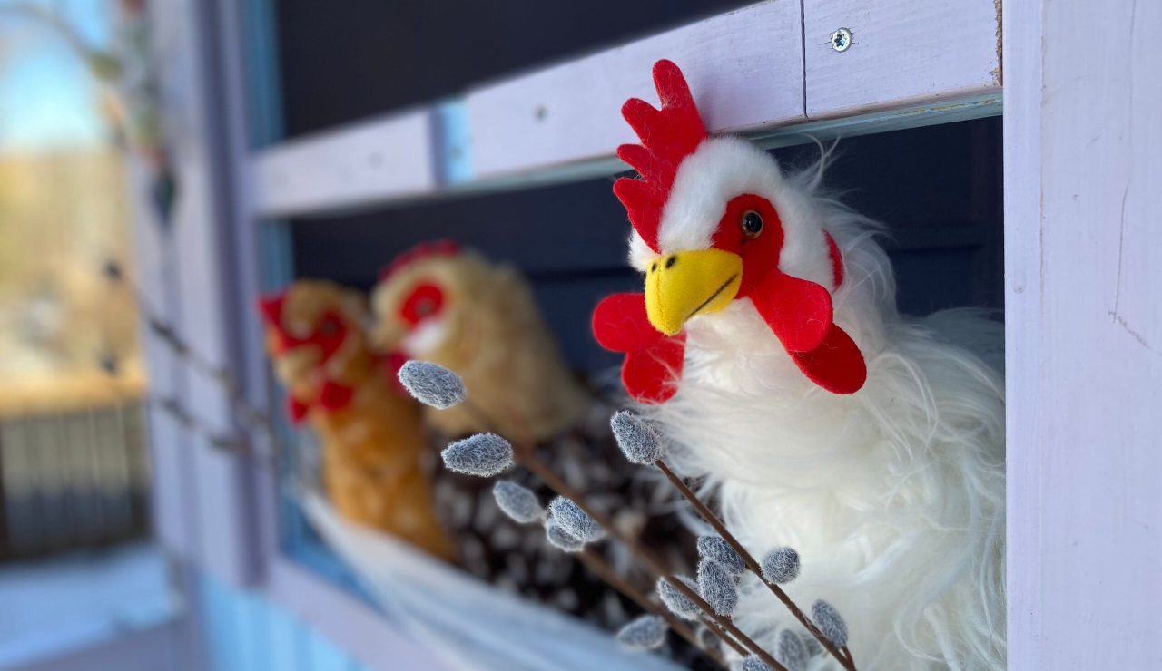 Keskustelupuiston_kanala_kuva_Raija_Heikola