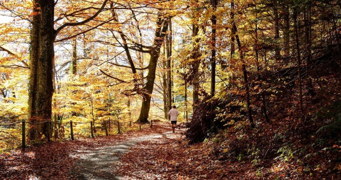 antranias-fall-1021329_1920