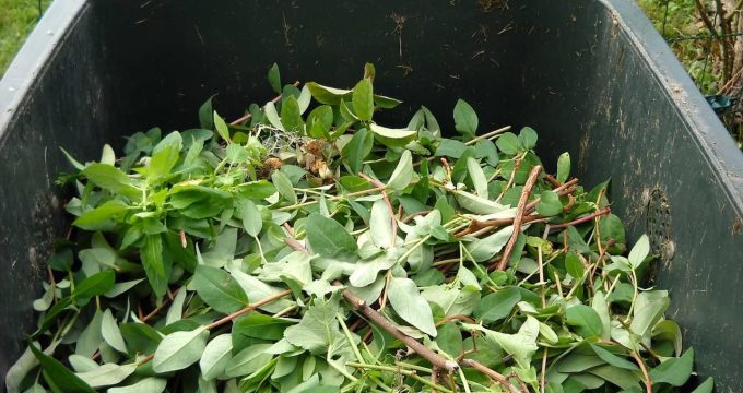 green-waste-486011_1280