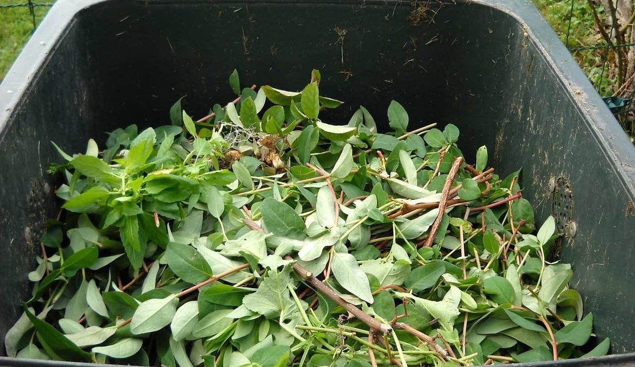 green-waste-486011_1280