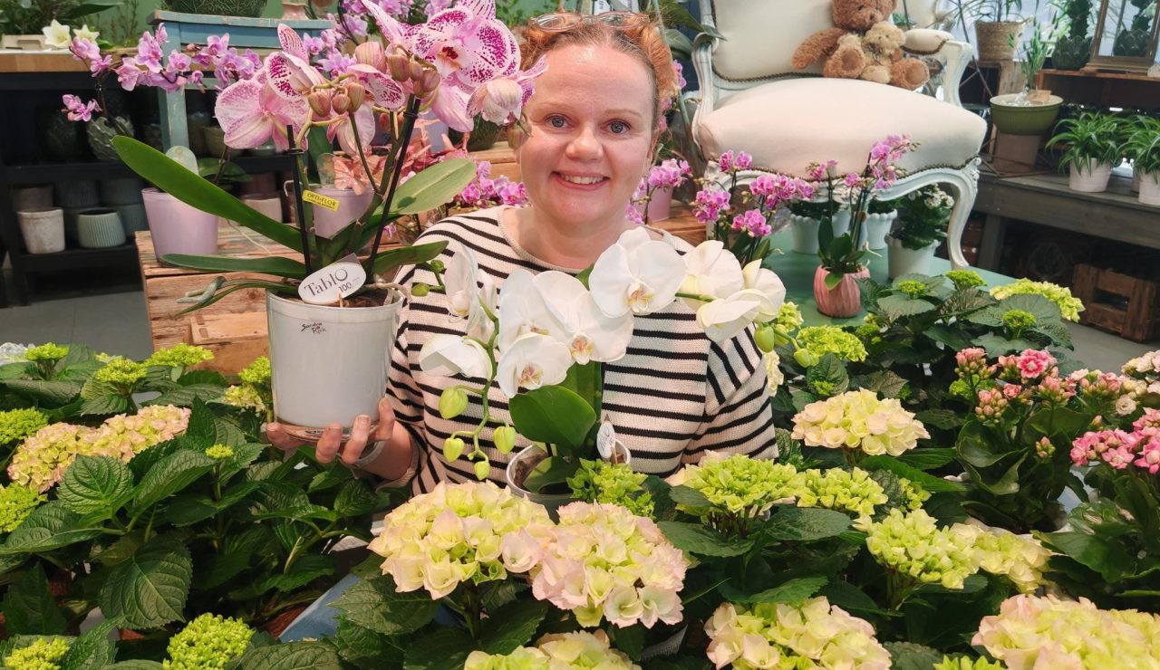 pauliina hiukkamäki 2026